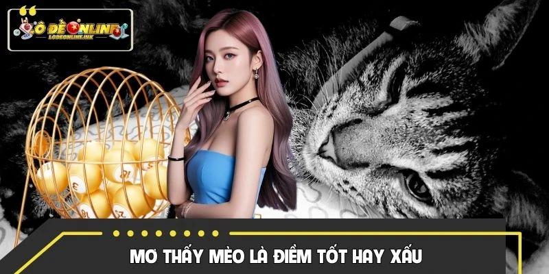 Điều may mắn hay xui rủi khi mơ thấy mèo
