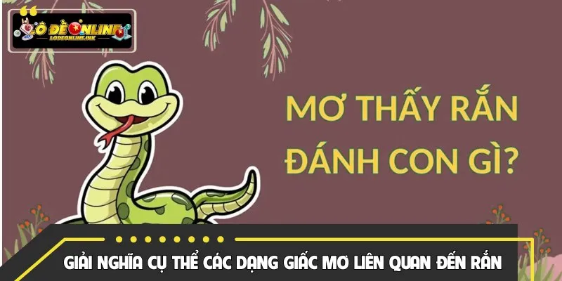 Giải nghĩa cụ thể các dạng giấc mơ liên quan đến rắn